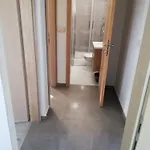 Vendégház Milin